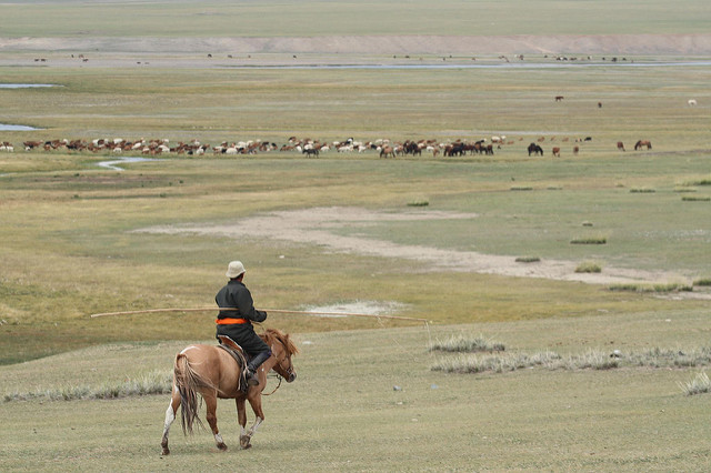 Das Pferd von hinten aufzäumen: Biodiversitäts-Offsets vor Vermeidung von Zerstörung und Kompensation in der Mongolei