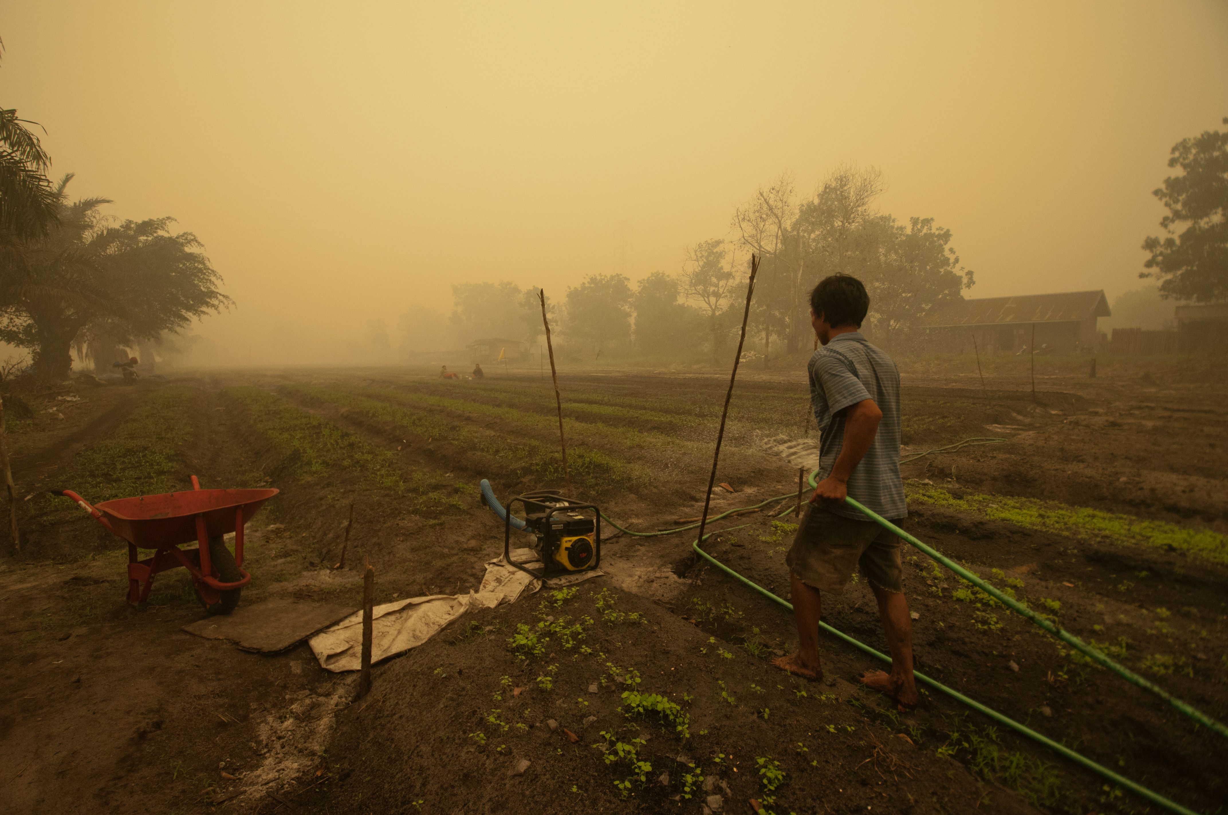 Our House Is On Fire #2: Weltklimarat IPCC verhandelt Sonderbericht zum Landsektor